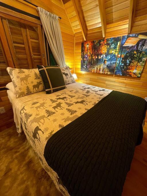 Laventure Vert - Ideal Para Relaxar เซาฟรานซิสโก จิ เปาลา ภายนอก รูปภาพ